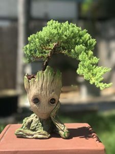 "Groot Pot" saksija - Image 2