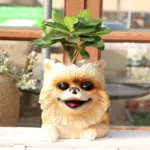 "Spitz Dog" saksija