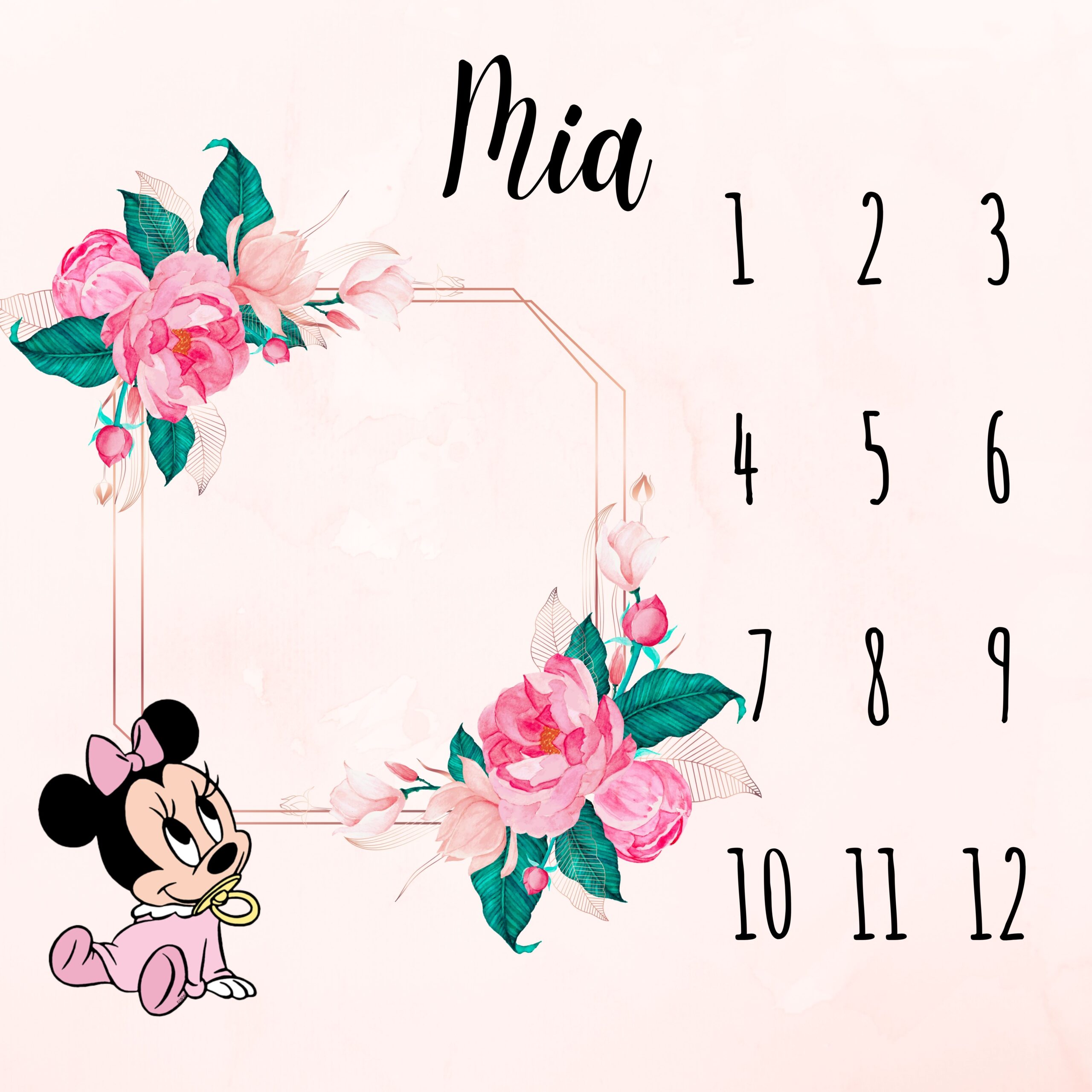 1-1-scaled-2.jpg Podloge za mjesečno slikanje beba - Minnie - Image 1